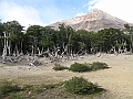 Patagonie 127